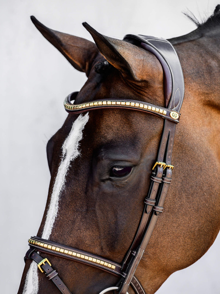 クリンチャー頭絡 障害・馬場馬術兼用 ブラウン PS of Sweden - 画像 (3)