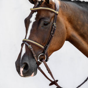 クリンチャー頭絡 障害・馬場馬術兼用 ブラウン PS of Sweden