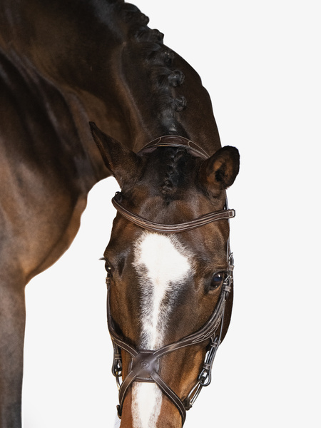 障害用頭絡 馬に優しいメキシカン鼻革 ブラック/ブラウン PS of Sweden - 画像 (3)