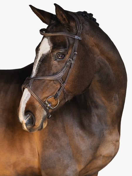 障害用頭絡 馬に優しいメキシカン鼻革 ブラック/ブラウン PS of Sweden - 画像 (7)