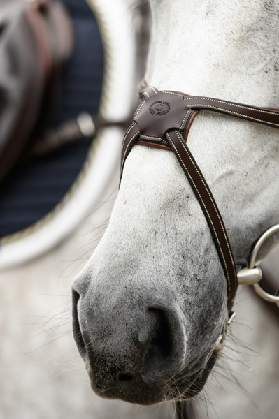 障害用頭絡 馬に優しいメキシカン鼻革 ブラック/ブラウン PS of Sweden - 画像 (8)