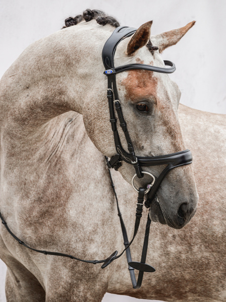 頭絡 障害・馬場馬術兼用 特許出願デザイン コンビ鼻革付き ブラック ブラウン PS of Sweden - 画像 (3)
