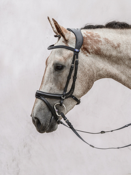 頭絡 障害・馬場馬術兼用 特許出願デザイン コンビ鼻革付き ブラック ブラウン PS of Sweden - 画像 (2)