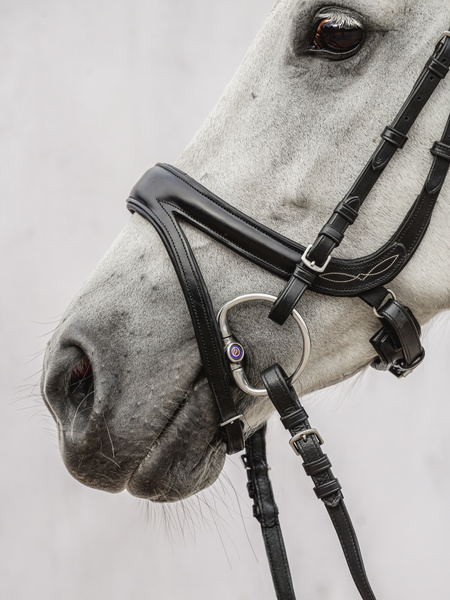 頭絡 障害・馬場馬術兼用 特許出願デザイン コンビ鼻革付き ブラック ブラウン PS of Sweden - 画像 (4)