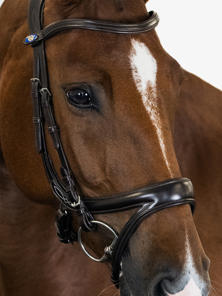 頭絡 障害・馬場馬術兼用 特許出願デザイン コンビ鼻革付き ブラック ブラウン PS of Sweden - 画像 (5)