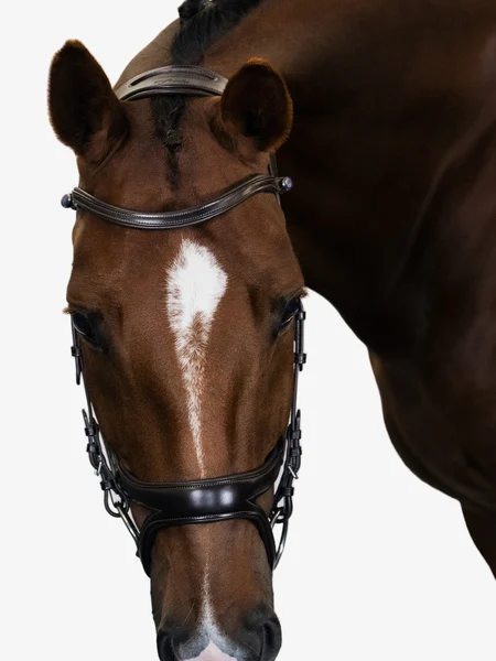 頭絡 障害・馬場馬術兼用 特許出願デザイン コンビ鼻革付き ブラック ブラウン PS of Sweden - 画像 (6)