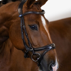 頭絡 障害・馬場馬術兼用 特許出願デザイン コンビ鼻革付き ブラック ブラウン PS of Sweden