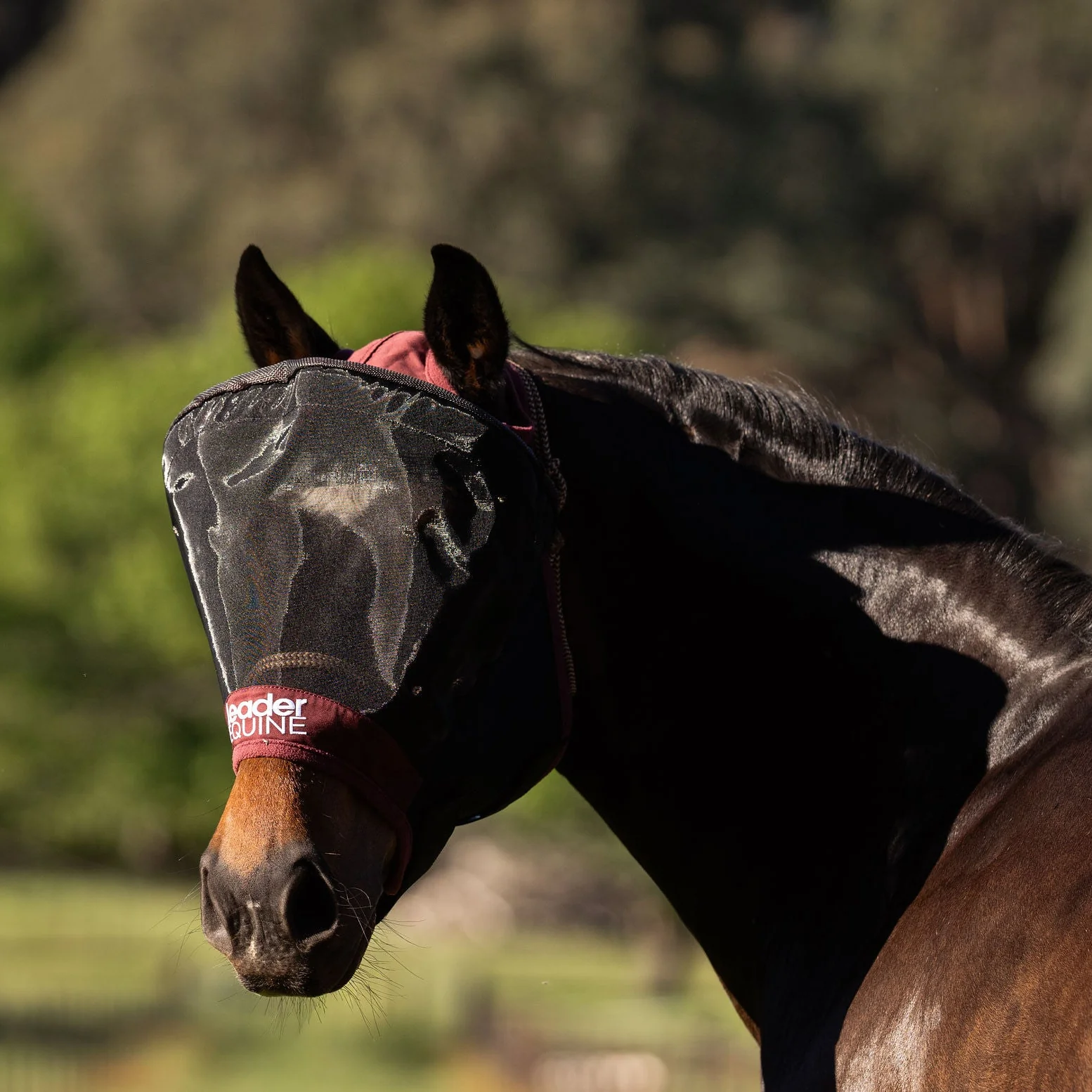 【視界良好】UVカット虫除けマスク バーガンディー/ネイビー Leader Equine