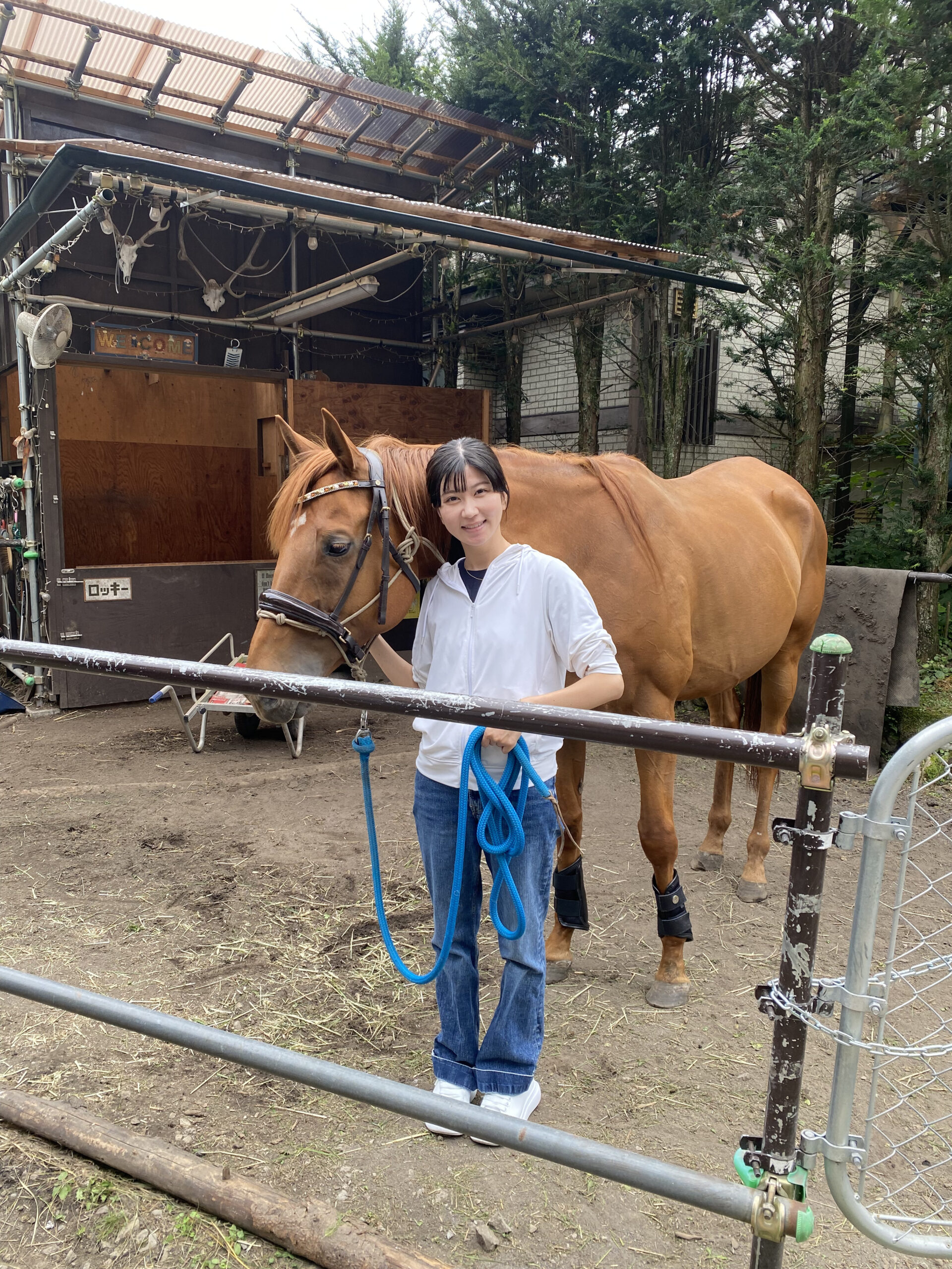 支援品を馬へ届けている様子