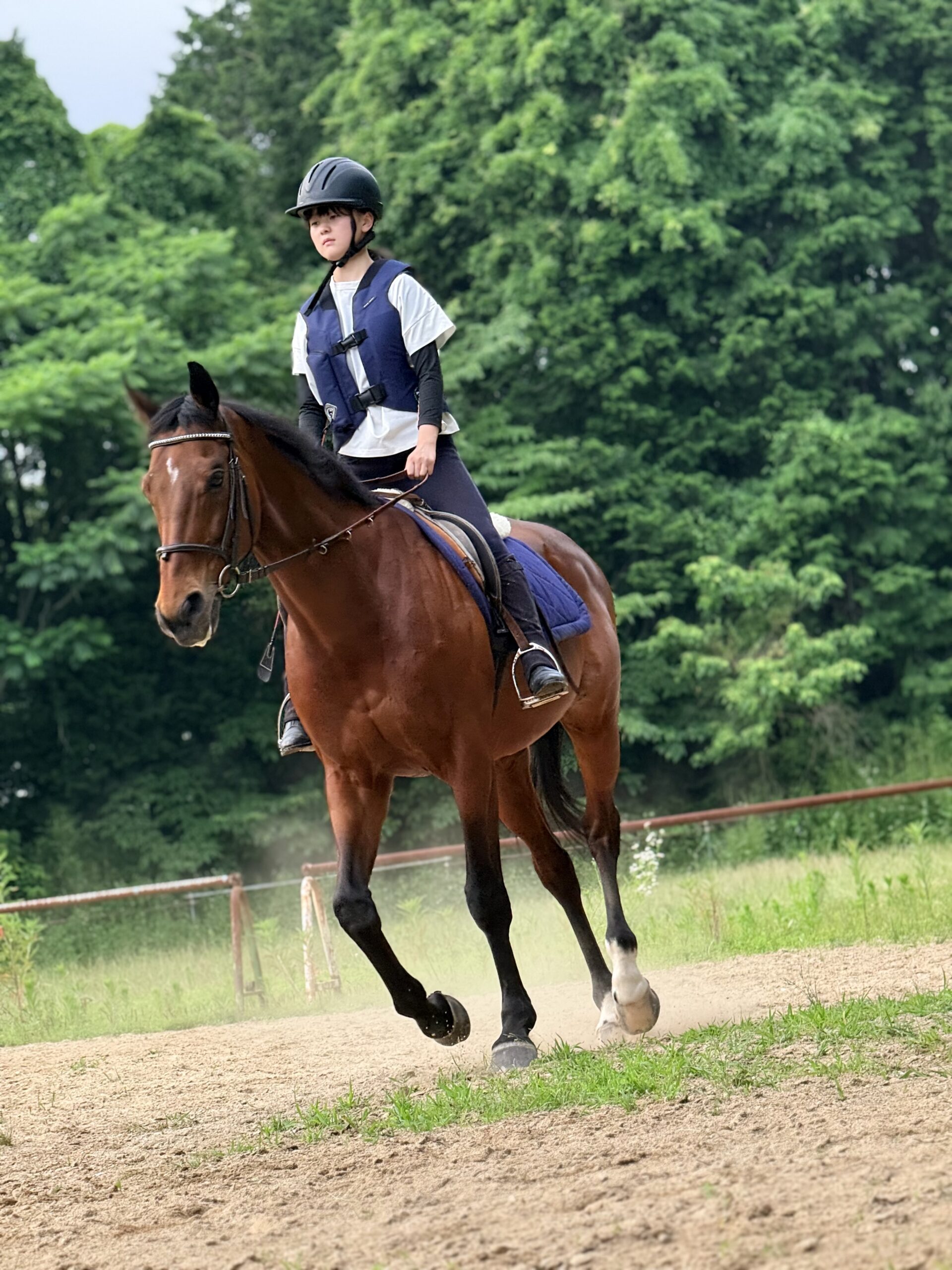 Shiina Riding Club