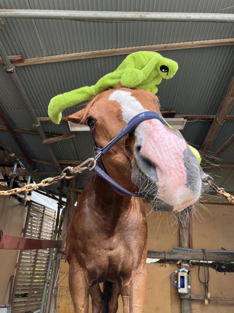 ルミノックス