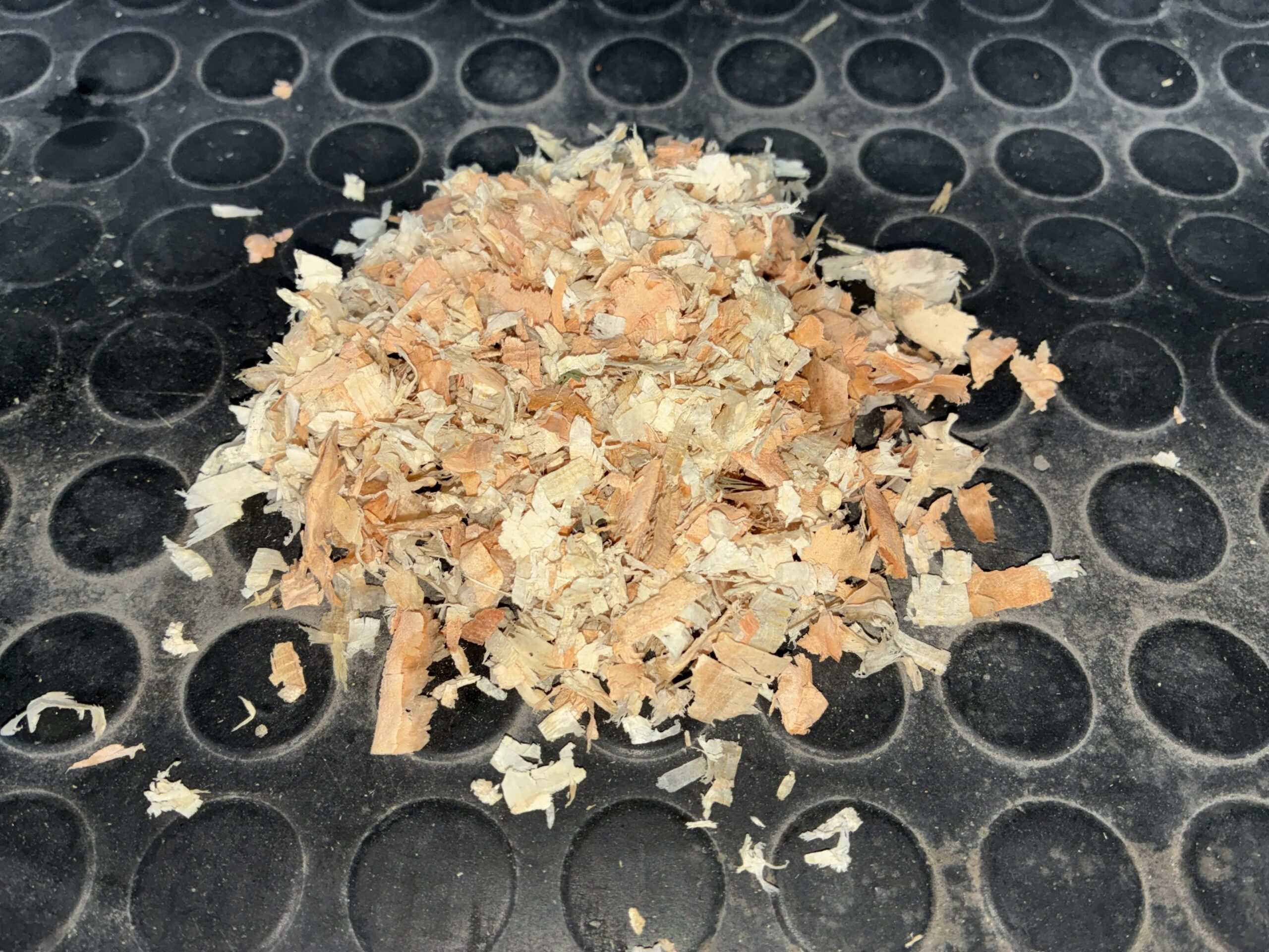 【定期購入】国産ウッドチップ 15kg 敷料 - 画像 (2)